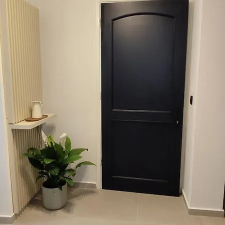 アパート Ionian Breeze Luxury Apartments-avithos アルゴストリオン